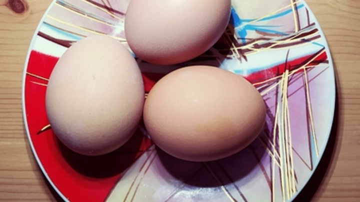 Когда обычное яйцо превращается в яд: Выбросите это немедленно, иначе убьёте себя