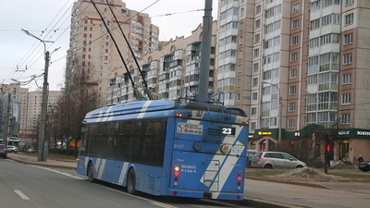 В Новосибирске после гибели собаки-поводыря пообещали не выпускать на линию неисправные троллейбусы