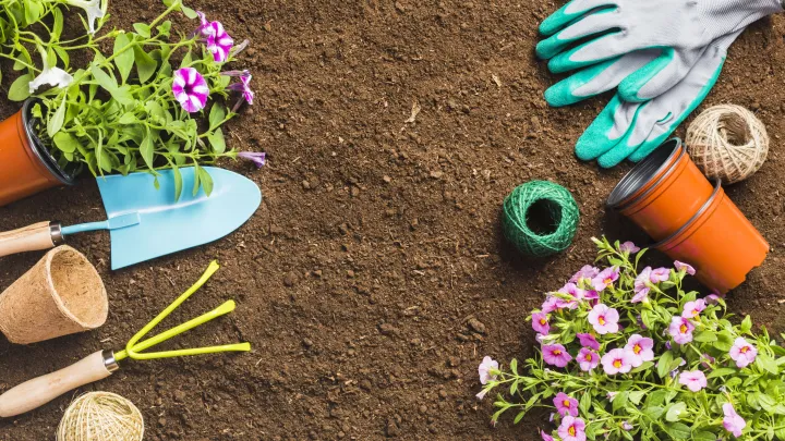 День Ирины Рассадницы 2026: что строго запрещено делать, приметы, традиции