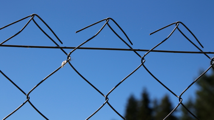 Проректор Российской таможенной академии покончил с собой в СИЗО - источник