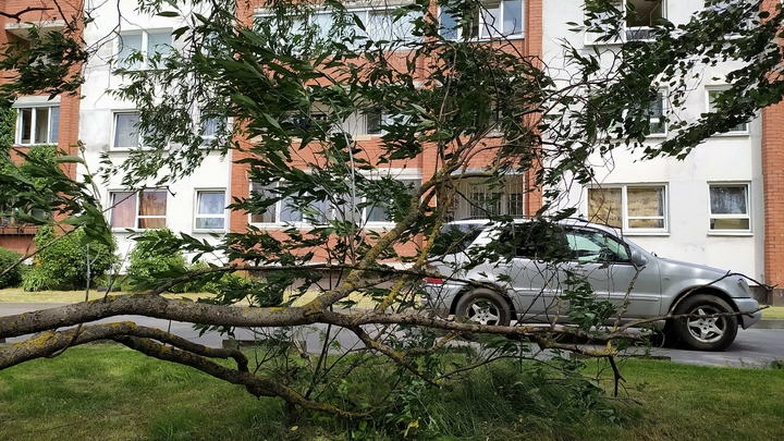 В Петербурге объявлен жёлтый уровень опасности: из-за циклона на регион надвигаются сильные ветра