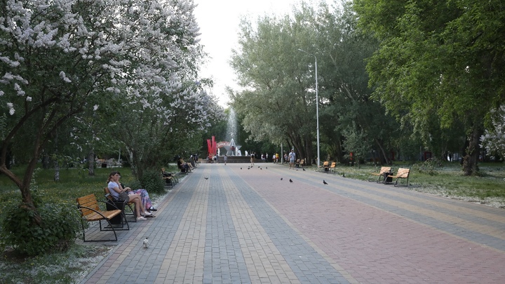 В Кургане в огромной луже поселились утки