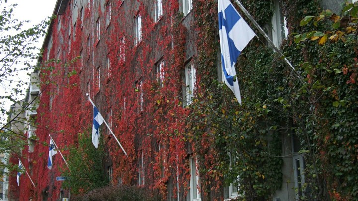 Финны ударили по России, забыв про эффект бумеранга. Теперь просят пощады