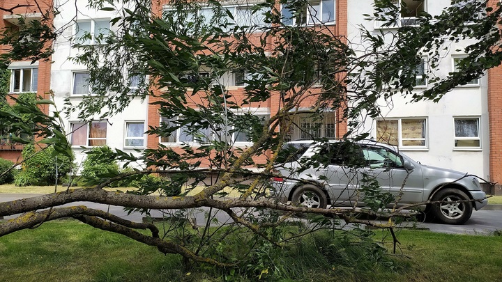 Более 70 деревьев упали из-за непогоды в Нижнем Новгороде