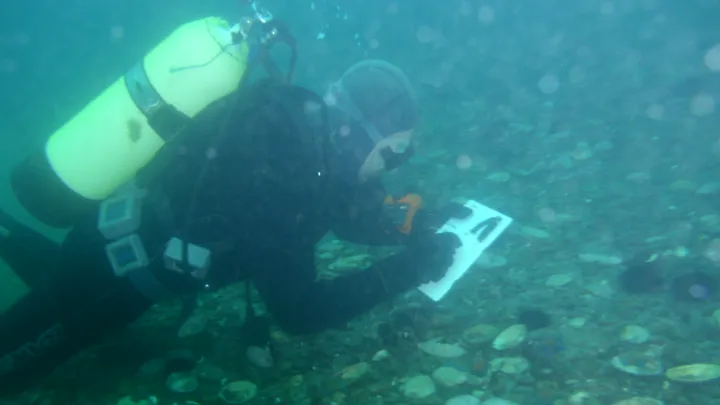 Очистка дна Чёрного моря от мазута: Аквалангист умер после погружения