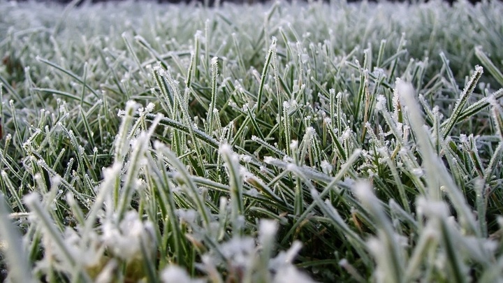 Жителей Кубани предупредили о заморозках