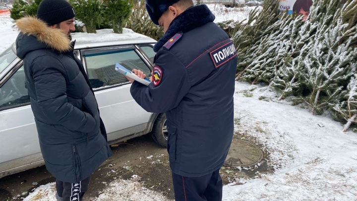 В Челябинске полицейские искали мигрантов среди ёлок
