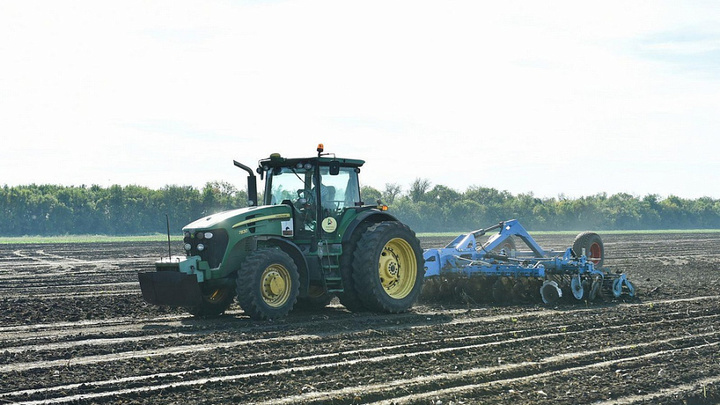 В Краснодарском крае под урожай 2023 года озимыми культурами засеют около 1,8 млн га