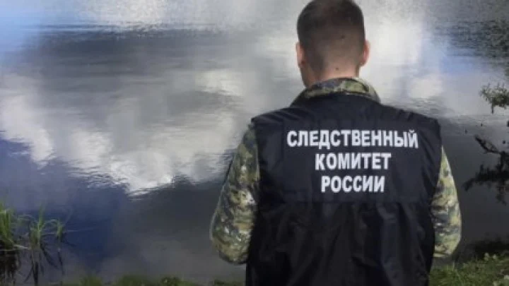 Ушли порыбачить: двое братьев 7 и 10 лет утонули в Омской области