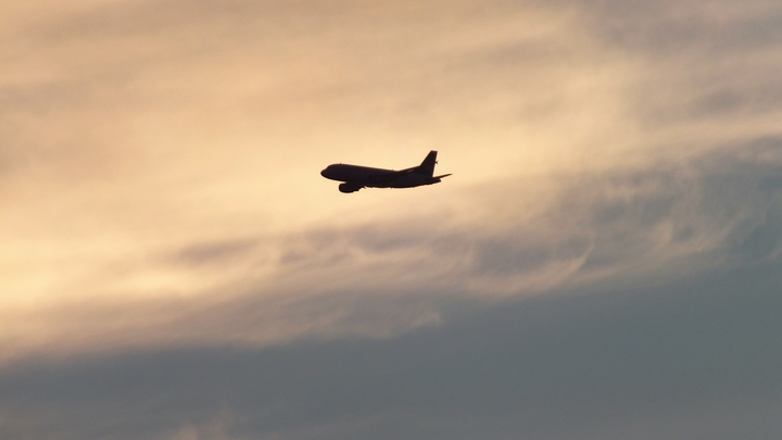 Выжили только две стюардессы: Стало известно, где они находились во время крушения Boeing в Южной Корее