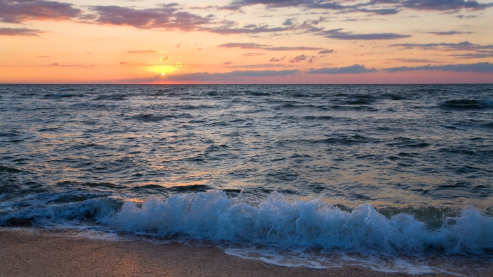 Бесплатный деликатес: на юге Одесской области на берег выбросило тысячи крабов