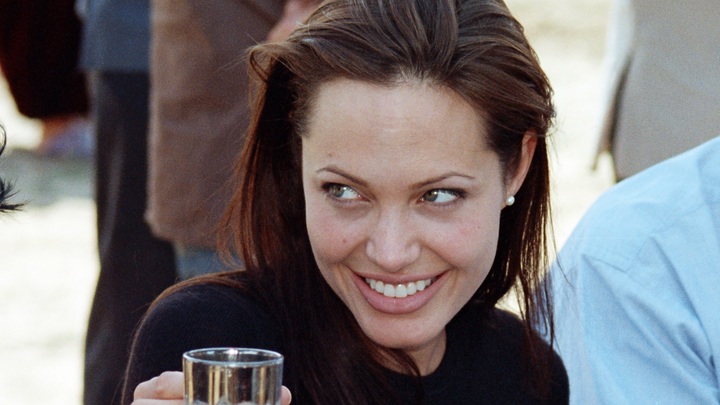 Джоли использовали как приманку: Захарова о львовских каникулах актрисы