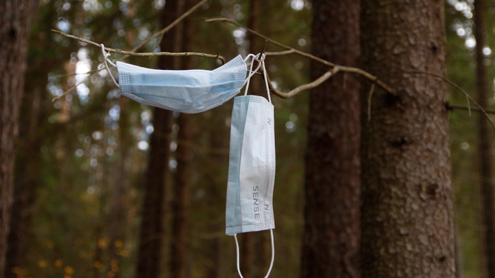 На Кубани коронавирусом за время пандемии заразились более 75 тысяч человек