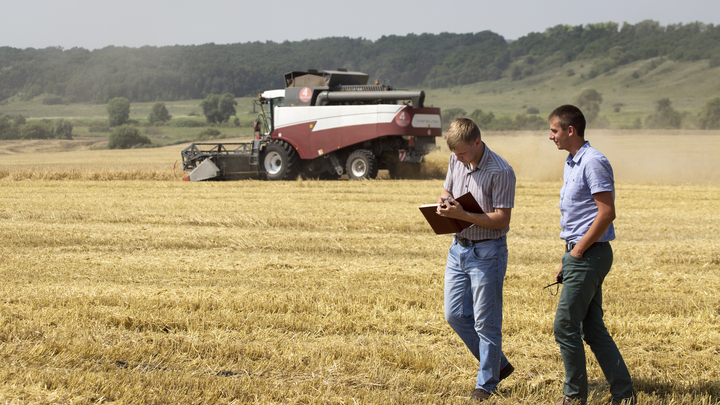 На Запорожье выделили 500 млн рублей на покрытие задолженности по зарплатам фермеров