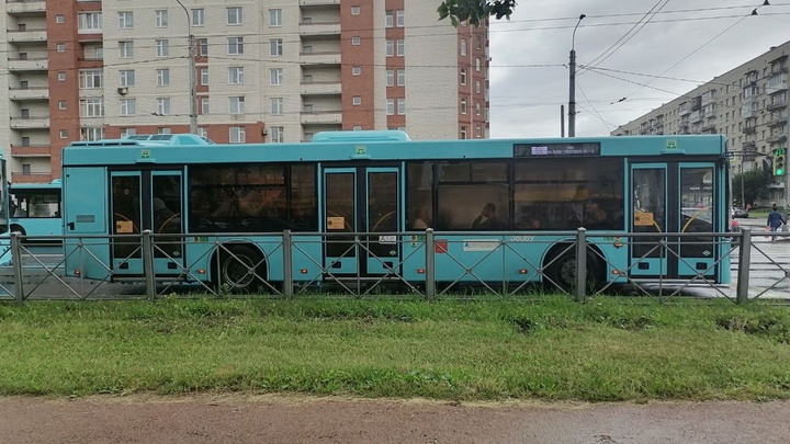 Ждать приходится по 40 минут: какие автобусы задерживаются на юге Петербурга