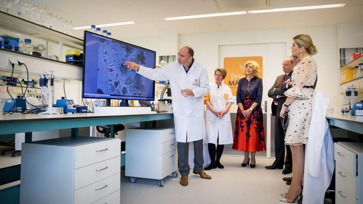 Рак не передаётся по наследству, но: Онкоиммунолог подсказал способ защиты