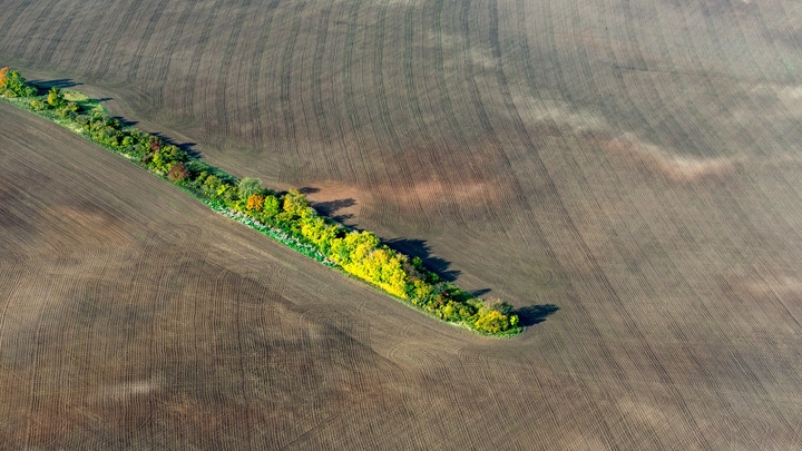 Никто лёгкой жизни в России не обещал: Эксперт дал прогноз о засухе