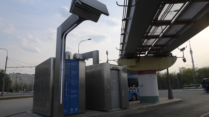 Вместо свалки - парк электробусов: В Петербурге обещают благоустроить промзону