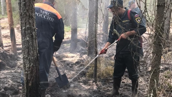 Режим ЧС введён в двух районах Нижегородской области из-за лесных пожаров