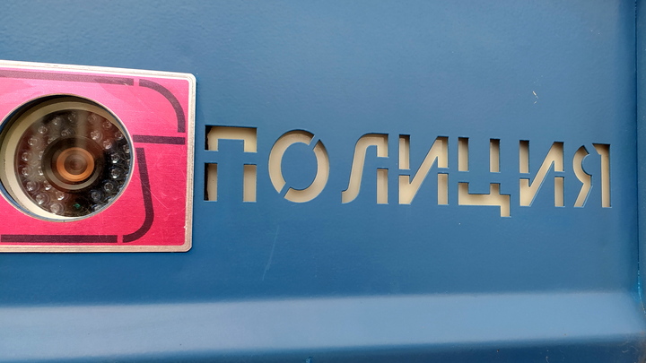 Под Петербургом задержали жителя США, который собирался вывезти ценные русские картины