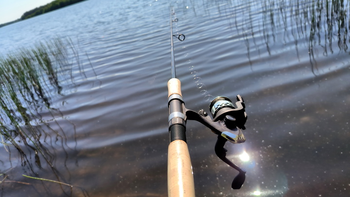 В водоемах Николаевской области найден возбудитель холеры – СМИ