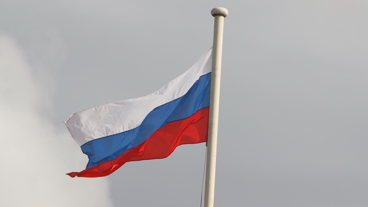 Простите, сэр...: Русские перед побегом из России показали реальную жизнь в США
