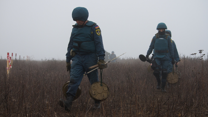 В Бердянском районе обнаружен схрон с гранатами и минами  – ГУВД