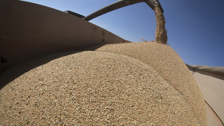 Бурятия отправила в Монголию первую партию гуманитарного зерна для скота