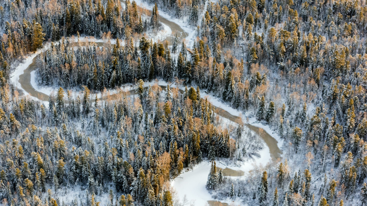 В поисках Усольцевых задействуют беспилотники