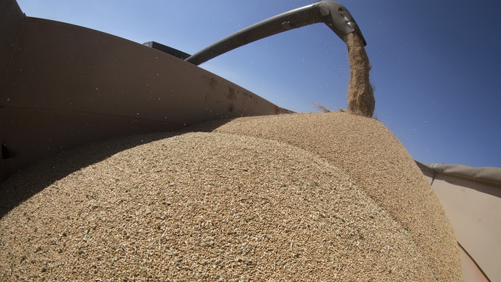 Почему Литва возобновила закупки зерна у России: Слуцкий дал простой ответ