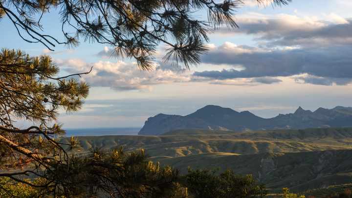 Дождёмся завершения СВО: Аксёнов категорично высказался о туристическом налоге