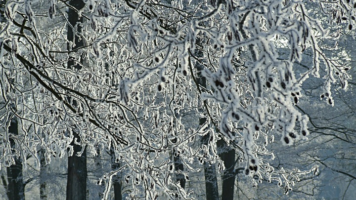 Верить ли народным приметам на 17 декабря, что нас ждет крепкий мороз