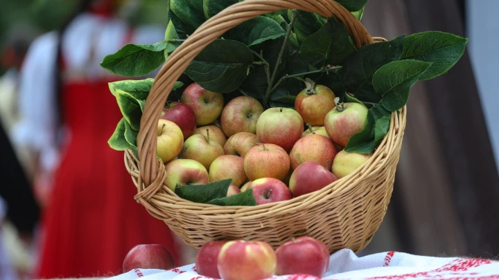 Наша многовековая русская сила и слава — знак Божественного промысла: Малофеев объяснил, почему Яблочный Спас — не просто народная традиция