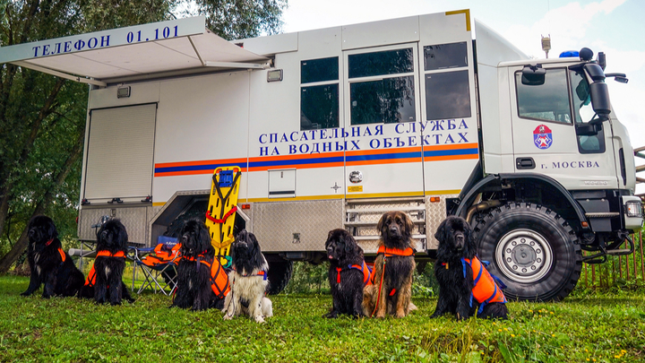 На Московском урбанфоруме в Лужниках расскажут о работе кинологических групп