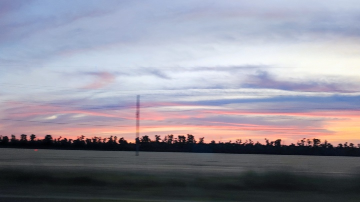 Погода в Ростове-на-Дону 26 июля 2023: прогноз синоптиков