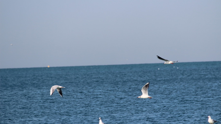 Впервые такая крупная: Источник сообщил о группировке ВМФ России в Чёрном море