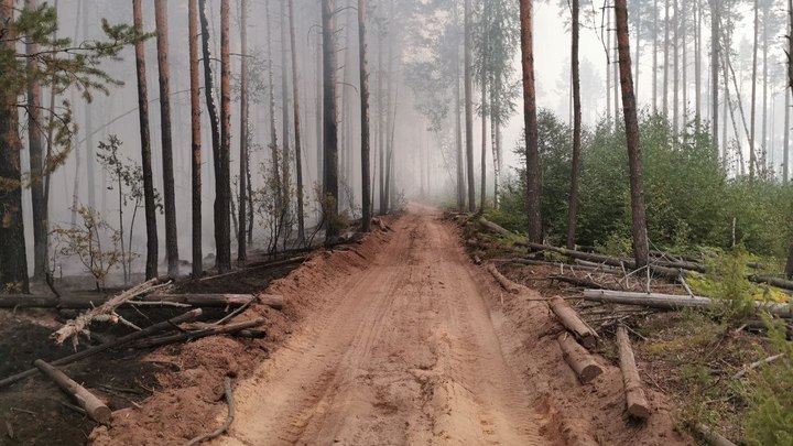 Чкаловск накрыл смог от пожаров в Ивановской области