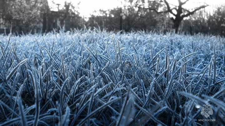 На Кубани к среде похолодает до -4