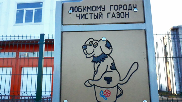 Власти Нижнего Тагила намерены запретить выгул собак возле школ, больниц и детсадов