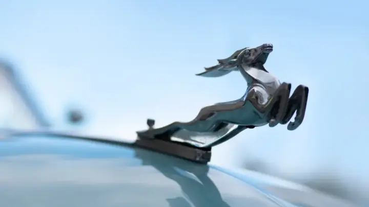 Новосибирский магазин наказали за продажу игрушечных Газелей