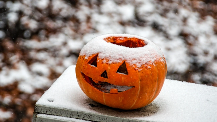 В Хакасии детский центр к Хеллоуину украсили трупом в мешке