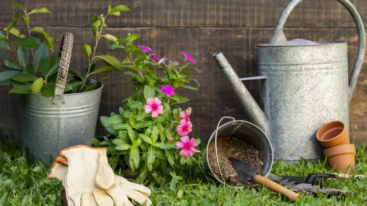 День активной работы в саду и огороде: что можно делать 28 мая по лунному календарю