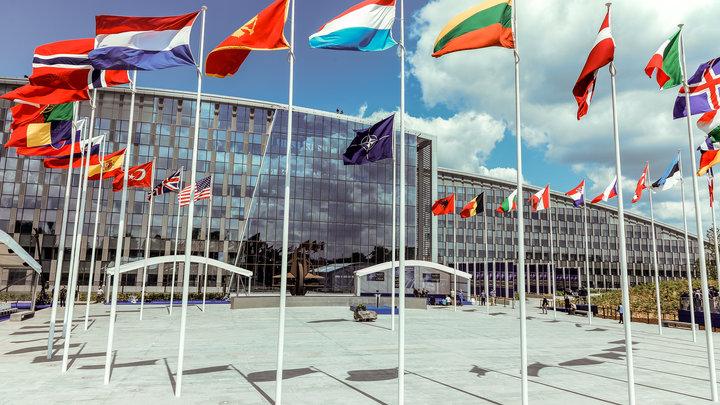 В Германии нашли хитрый способ принять Украину в НАТО