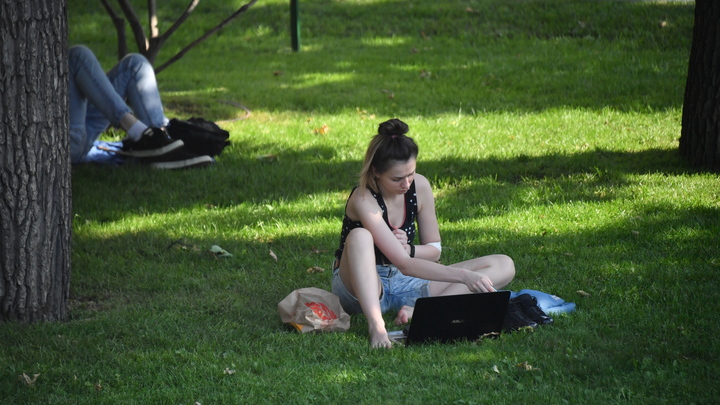 От 120 тысяч рублей: Назван топ-5 самых высокооплачиваемых удалённых работ