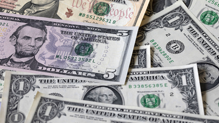 Эксперт объяснил, почему нельзя хранить всё в долларах