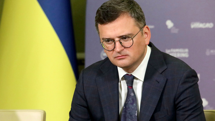 От признания жующего Кулебы Блинкену стало не по себе