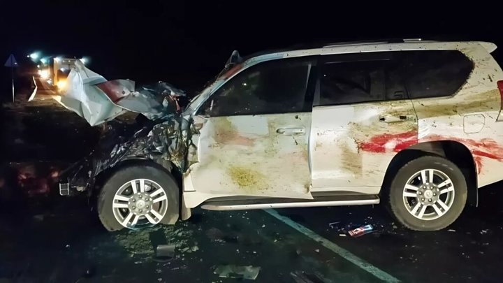 Табун лошадей погиб в ДТП с Крузаком под Оренбургом