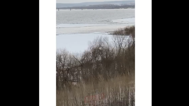 Ледоход на Томи в Кемерове снес деревья на набережной