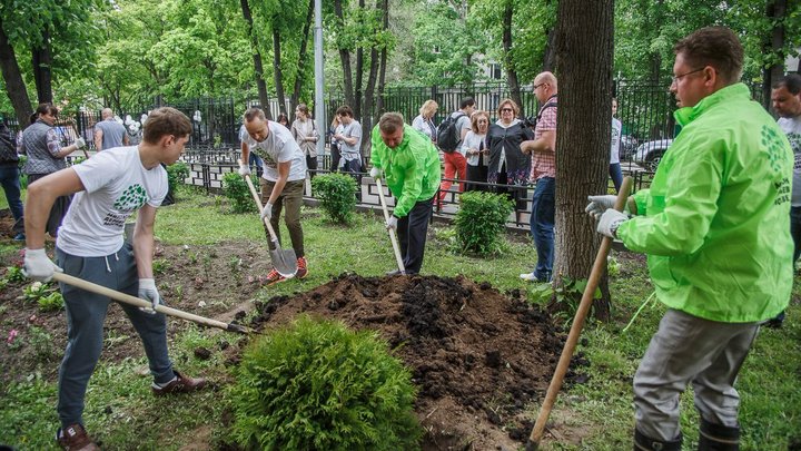 Собянин: На улицах Москвы до конца года высадят новые деревья