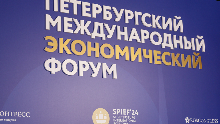 Молдавию на Петербургском международном экономическом форуме представил свадебный тамада из Кишинева